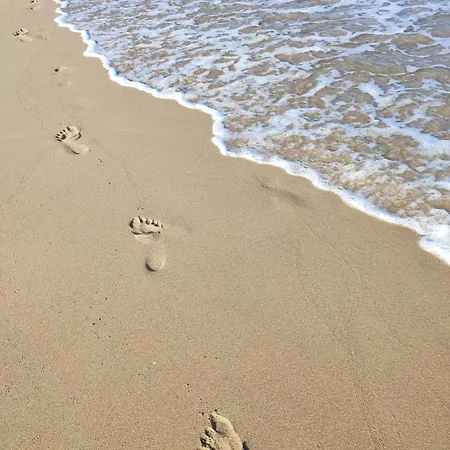 Daire Excelente Vacacional En Guardamar A Unos Pasos De La Playa, Calle Paraguay Guardamar del Segura