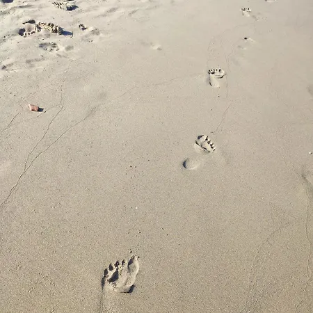 Excelente Vacacional En Guardamar A Unos Pasos De La Playa, Calle Paraguay *